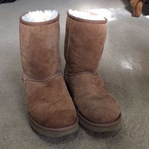 Classic chestnut uggs
